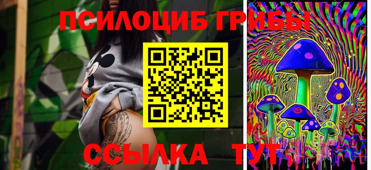 Галлюциногенные грибы GOLDEN TEACHER  цена   Лосино-Петровский  Вход с VPN  Псилоцибиновые грибы ЛСД 